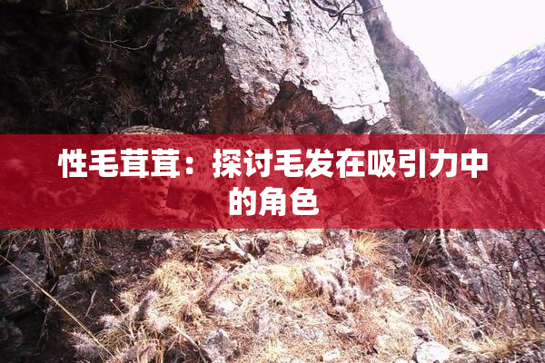 性毛茸茸：探讨毛发在吸引力中的角色