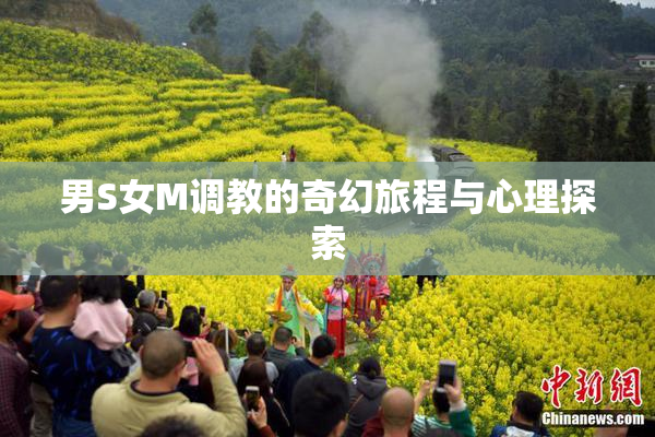 男S女M调教的奇幻旅程与心理探索