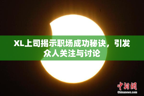 XL上司揭示职场成功秘诀，引发众人关注与讨论