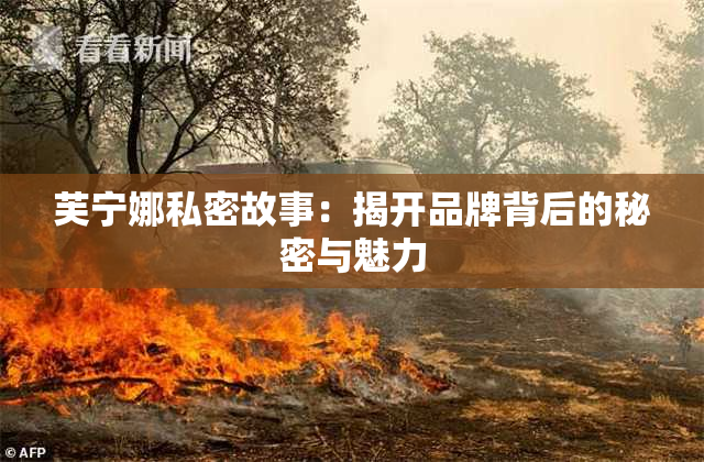 芙宁娜私密故事：揭开品牌背后的秘密与魅力