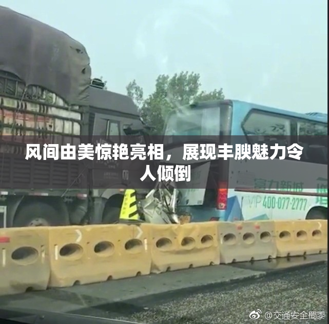 风间由美惊艳亮相，展现丰腴魅力令人倾倒