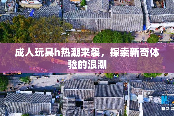成人玩具h热潮来袭，探索新奇体验的浪潮