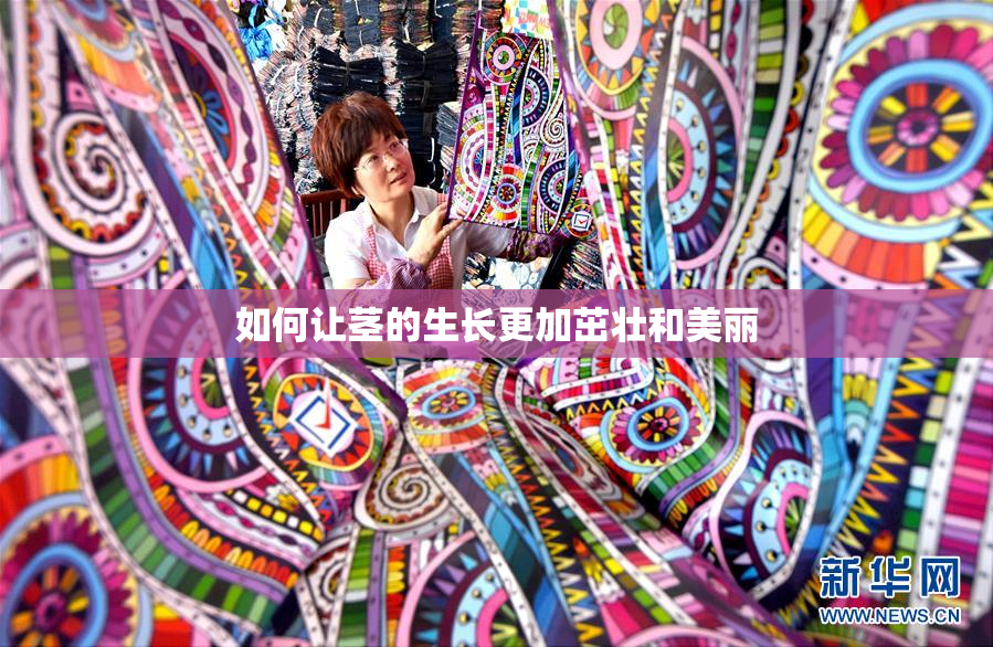 如何让茎的生长更加茁壮和美丽