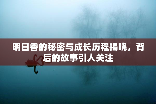 明日香的秘密与成长历程揭晓，背后的故事引人关注