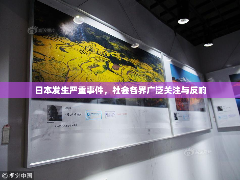 日本发生严重事件，社会各界广泛关注与反响