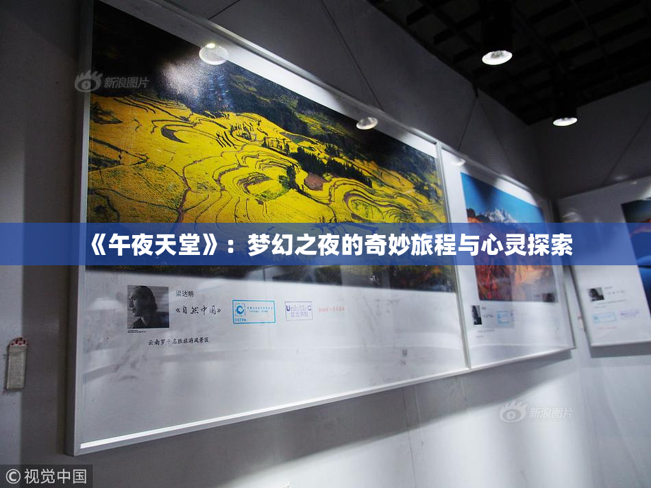 《午夜天堂》：梦幻之夜的奇妙旅程与心灵探索