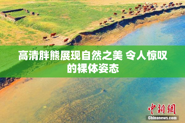 高清胖熊展现自然之美 令人惊叹的裸体姿态