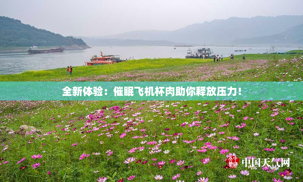 全新体验：催眠飞机杯肉助你释放压力！