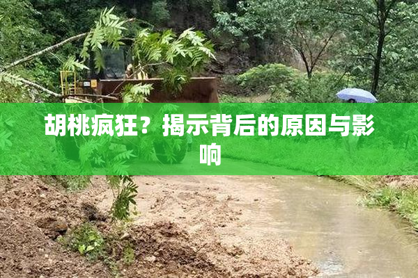胡桃疯狂？揭示背后的原因与影响