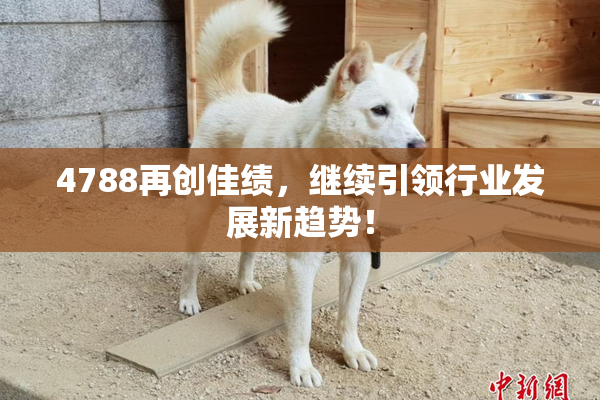 4788再创佳绩，继续引领行业发展新趋势！
