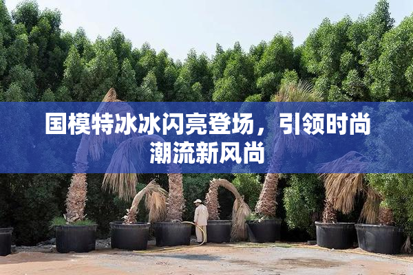国模特冰冰闪亮登场，引领时尚潮流新风尚