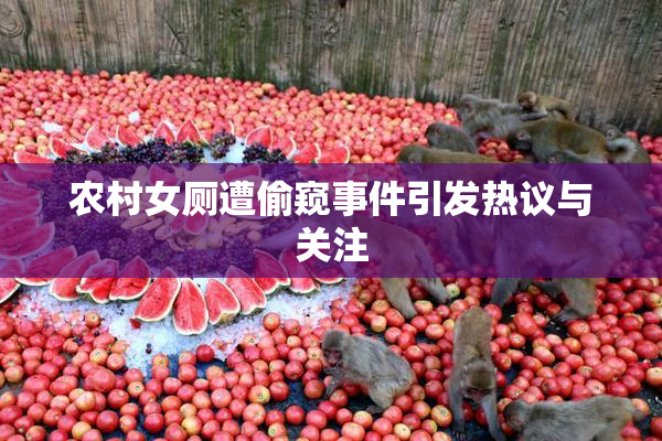 农村女厕遭偷窥事件引发热议与关注