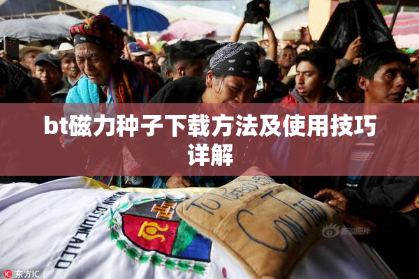 bt磁力种子下载方法及使用技巧详解