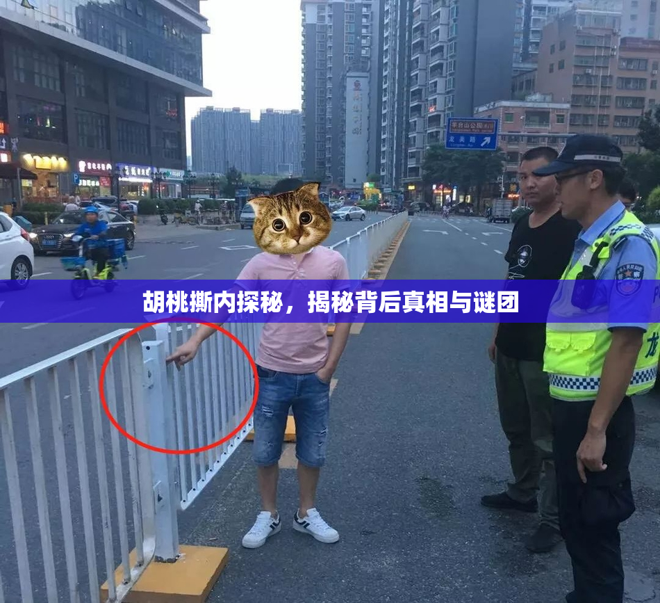 胡桃撕内探秘，揭秘背后真相与谜团