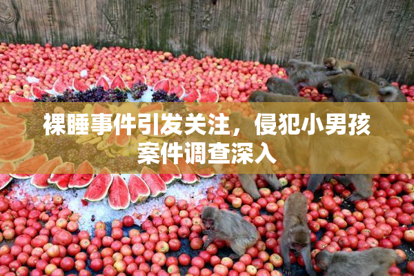 裸睡事件引发关注，侵犯小男孩案件调查深入
