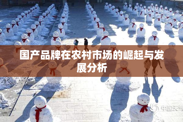 国产品牌在农村市场的崛起与发展分析