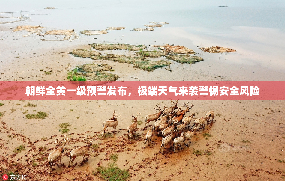 朝鲜全黄一级预警发布，极端天气来袭警惕安全风险