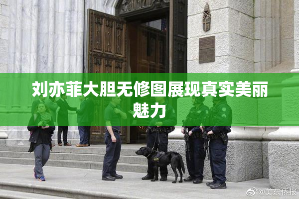 刘亦菲大胆无修图展现真实美丽魅力