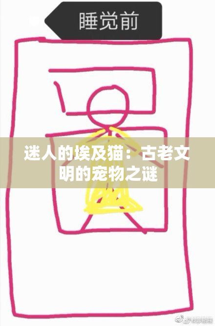 迷人的埃及猫：古老文明的宠物之谜