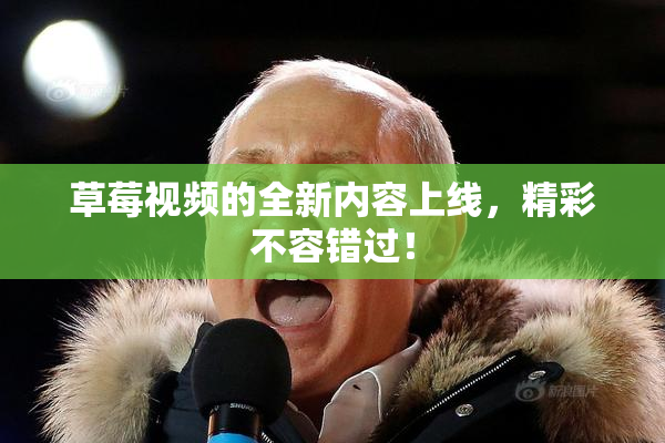 草莓视频的全新内容上线，精彩不容错过！