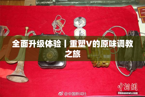 全面升级体验丨重塑V的原味调教之旅