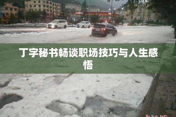丁字秘书畅谈职场技巧与人生感悟