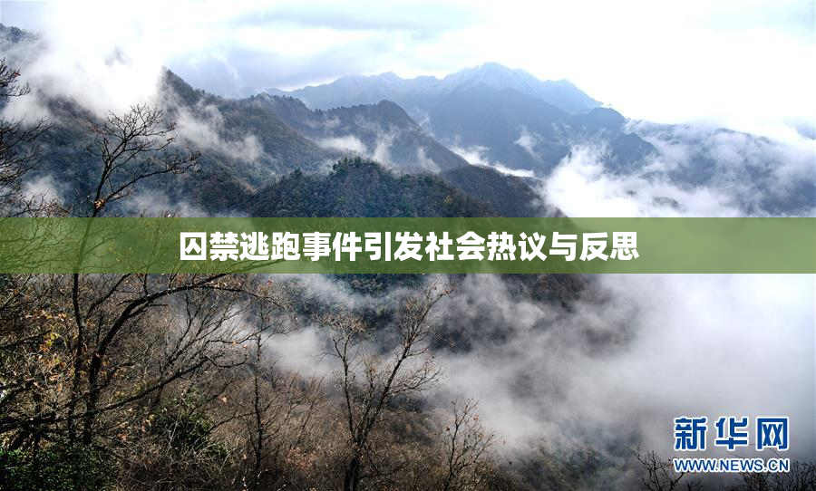 囚禁逃跑事件引发社会热议与反思