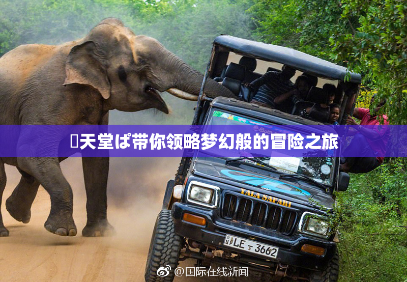 妺天堂ぱ带你领略梦幻般的冒险之旅