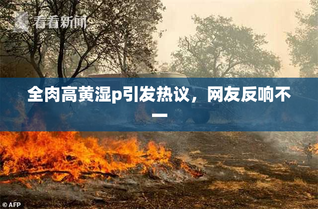 全肉高黄湿p引发热议，网友反响不一