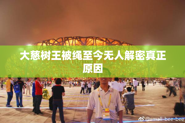 大慈树王被绳至今无人解密真正原因