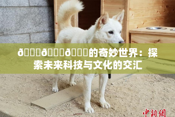🍆🍑🔞的奇妙世界：探索未来科技与文化的交汇