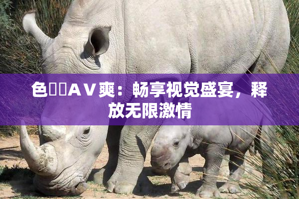 色妺妺AⅤ爽：畅享视觉盛宴，释放无限激情