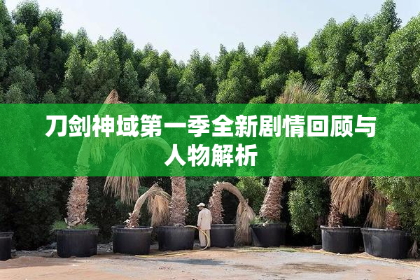 刀剑神域第一季全新剧情回顾与人物解析