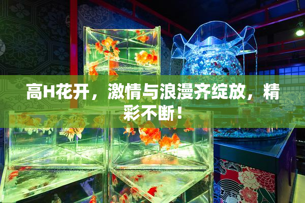 高H花开，激情与浪漫齐绽放，精彩不断！