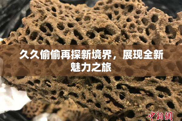 久久偷偷再探新境界，展现全新魅力之旅
