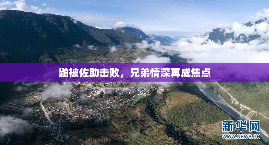 鼬被佐助击败，兄弟情深再成焦点