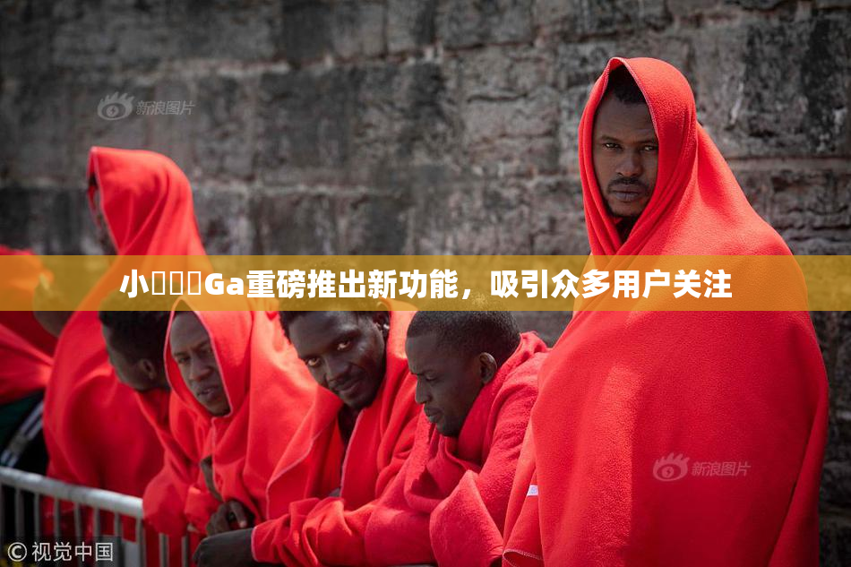 小藍視頻Ga重磅推出新功能，吸引众多用户关注