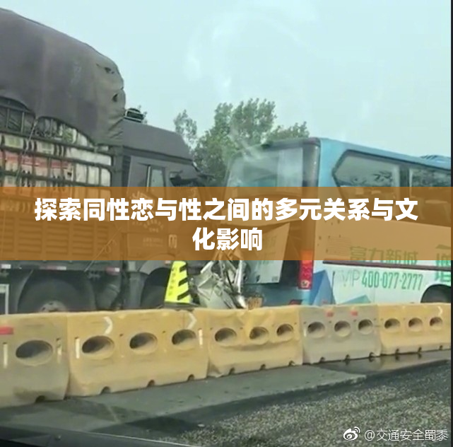 探索同性恋与性之间的多元关系与文化影响