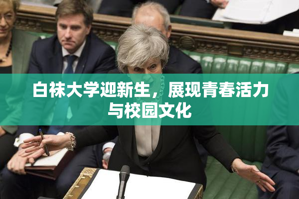 白袜大学迎新生，展现青春活力与校园文化