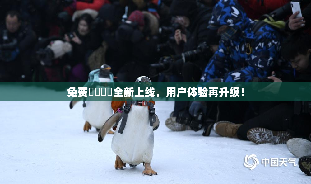 免费❌‌❌‌全新上线，用户体验再升级！