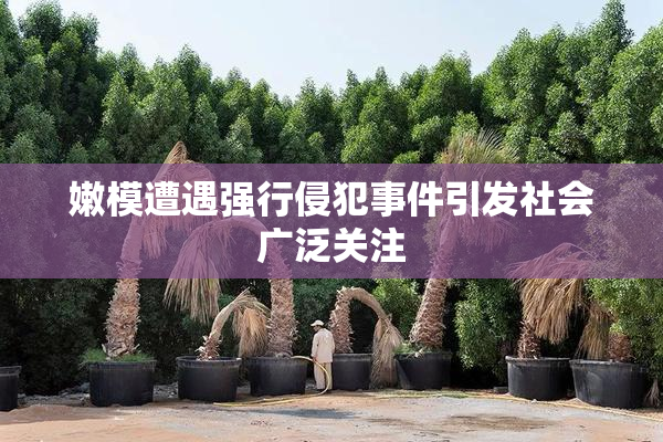 嫩模遭遇强行侵犯事件引发社会广泛关注