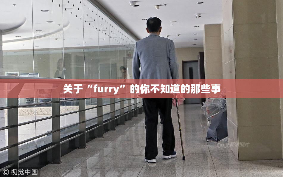 关于“furry”的你不知道的那些事