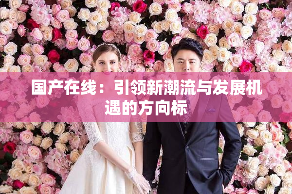 国产在线：引领新潮流与发展机遇的方向标