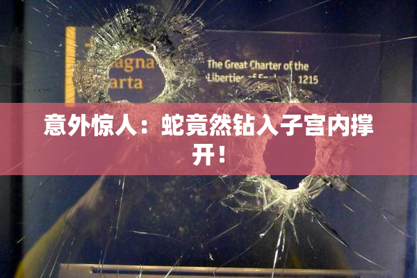 意外惊人：蛇竟然钻入子宫内撑开！
