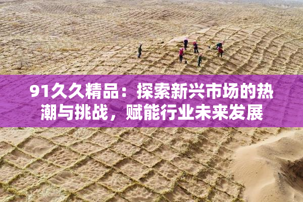 91久久精品：探索新兴市场的热潮与挑战，赋能行业未来发展