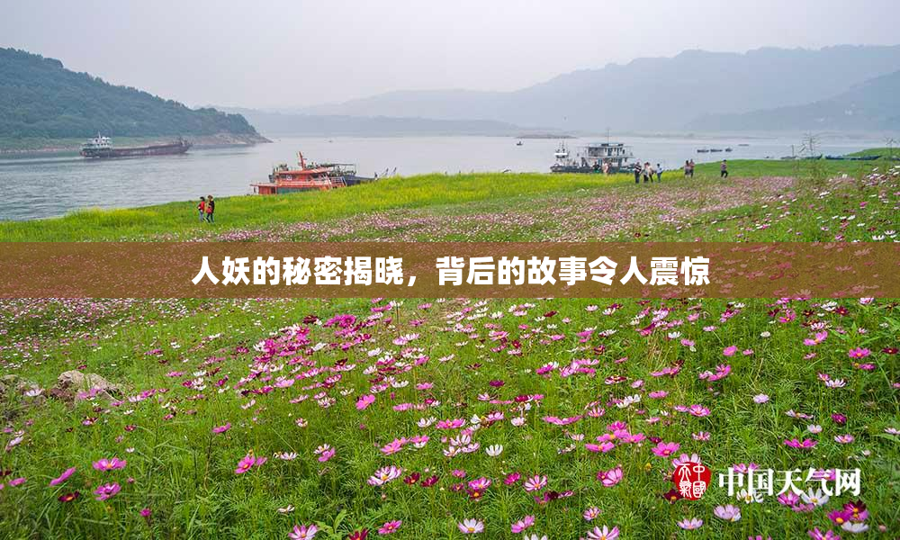 人妖的秘密揭晓，背后的故事令人震惊