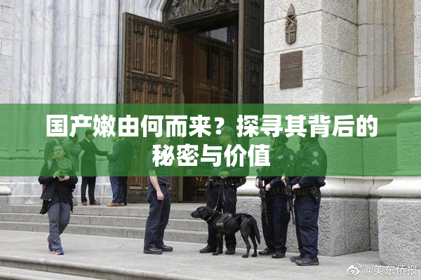 国产嫩由何而来？探寻其背后的秘密与价值