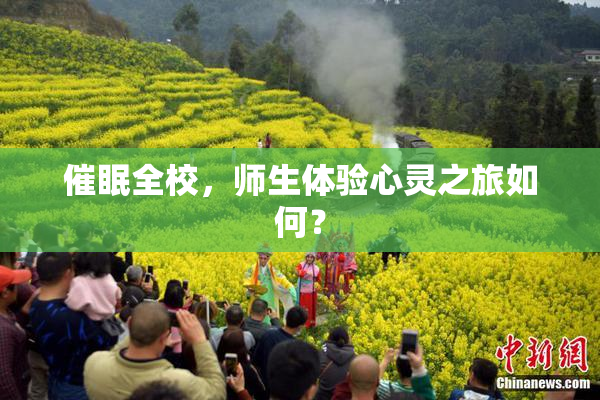 催眠全校，师生体验心灵之旅如何？
