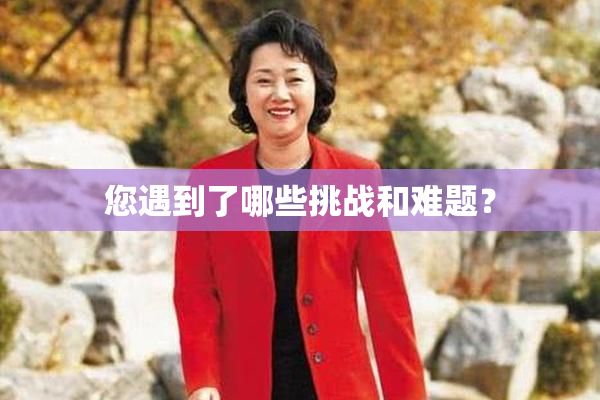 您遇到了哪些挑战和难题？