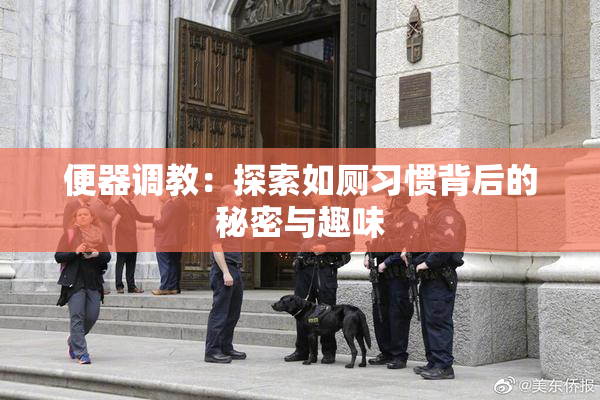 便器调教：探索如厕习惯背后的秘密与趣味